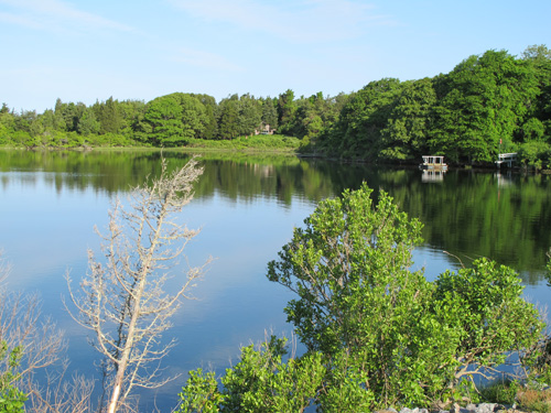 BPwestfalpond