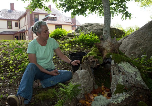 fairyhouseamywilsonsanger