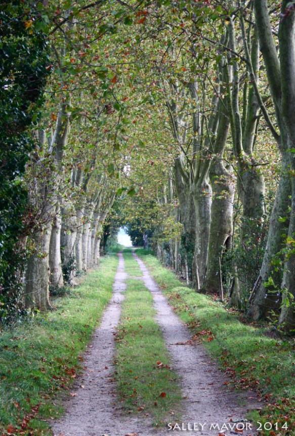 FrancecanalbikepathWM