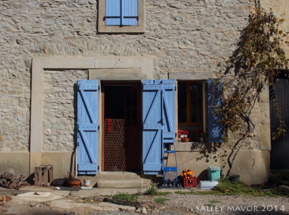 Francedoorway31MillepetitWM