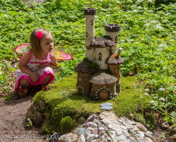 FairyHouses-1-13