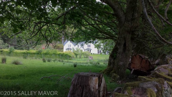 Scotlandlandscape-1-13