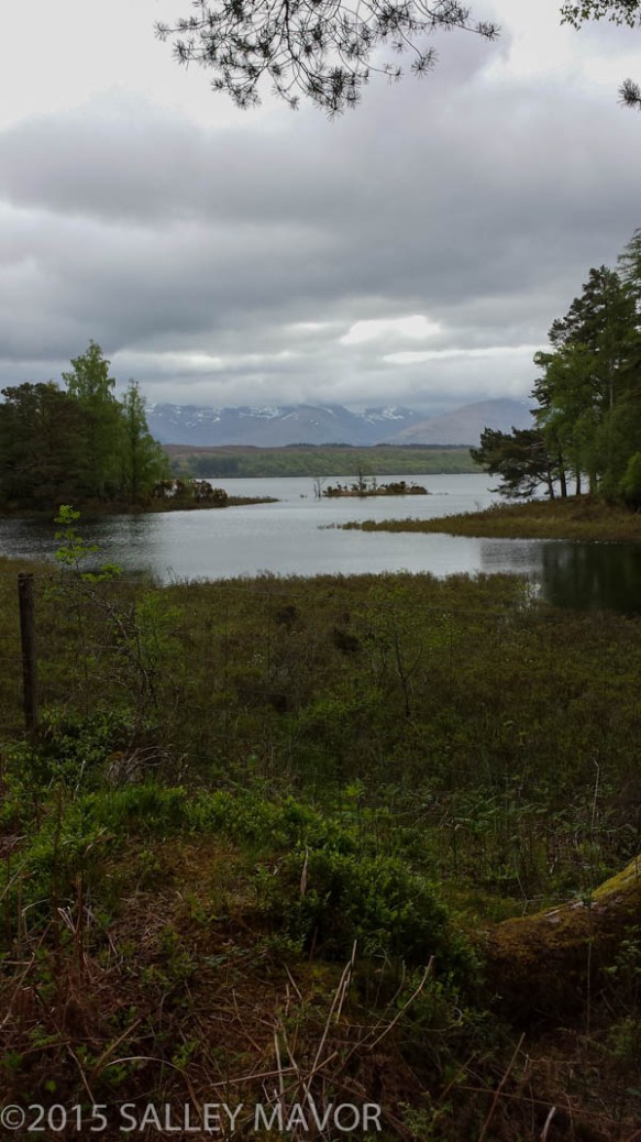 Scotlandlandscape-1-14