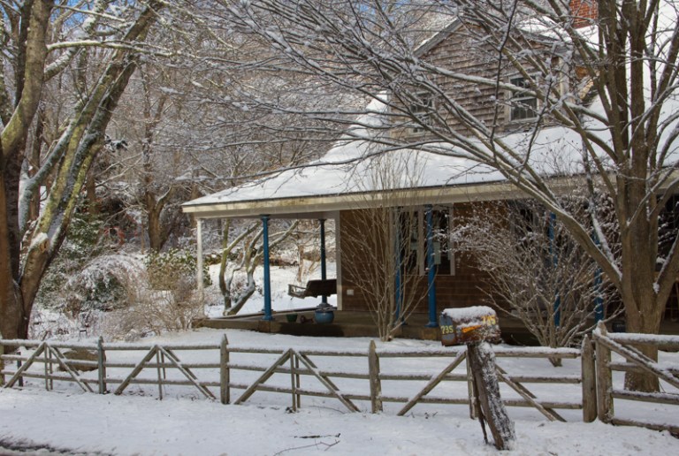 January snow | SALLEY MAVOR