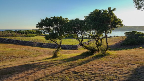 IslandVacation2016-1-6